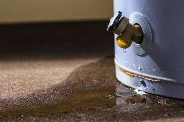 Best Flood restoration services  in Maumee, OH