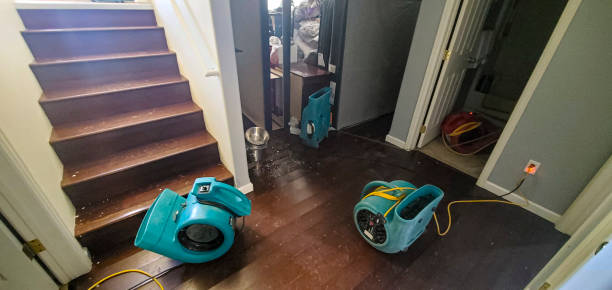 Best Water damage restoration company  in Maumee, OH