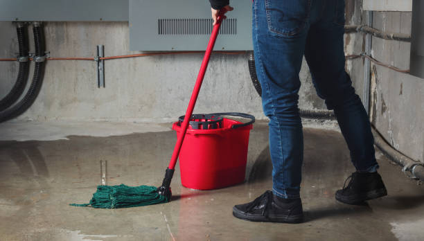 Best Mold removal after water damage  in Maumee, OH