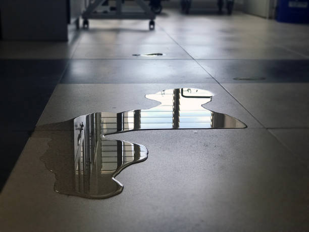 Best 24-hour water damage restoration  in Maumee, OH