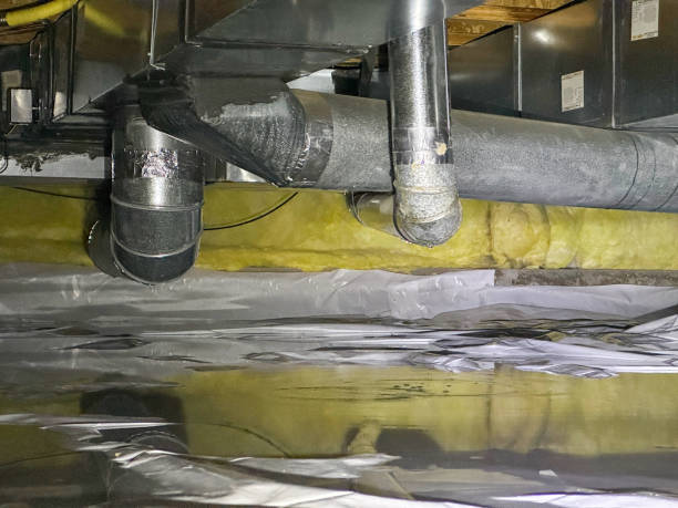  Maumee, OH Water damage restoration Pros