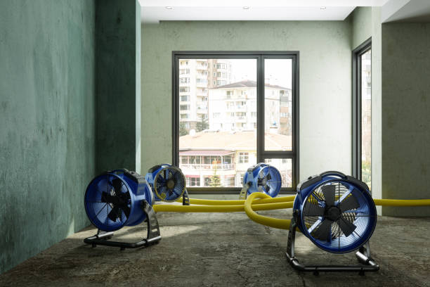 Best Commercial water damage restoration  in Maumee, OH