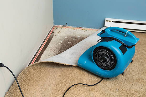 Best Flooded house restoration  in Maumee, OH